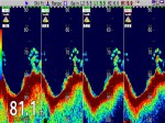 Iimage of 4 frequencies