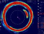 Sardine at 80.0 kHz