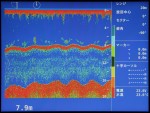 180 kHz'de <br> siren modu