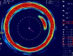 Sardine at 80 kHz